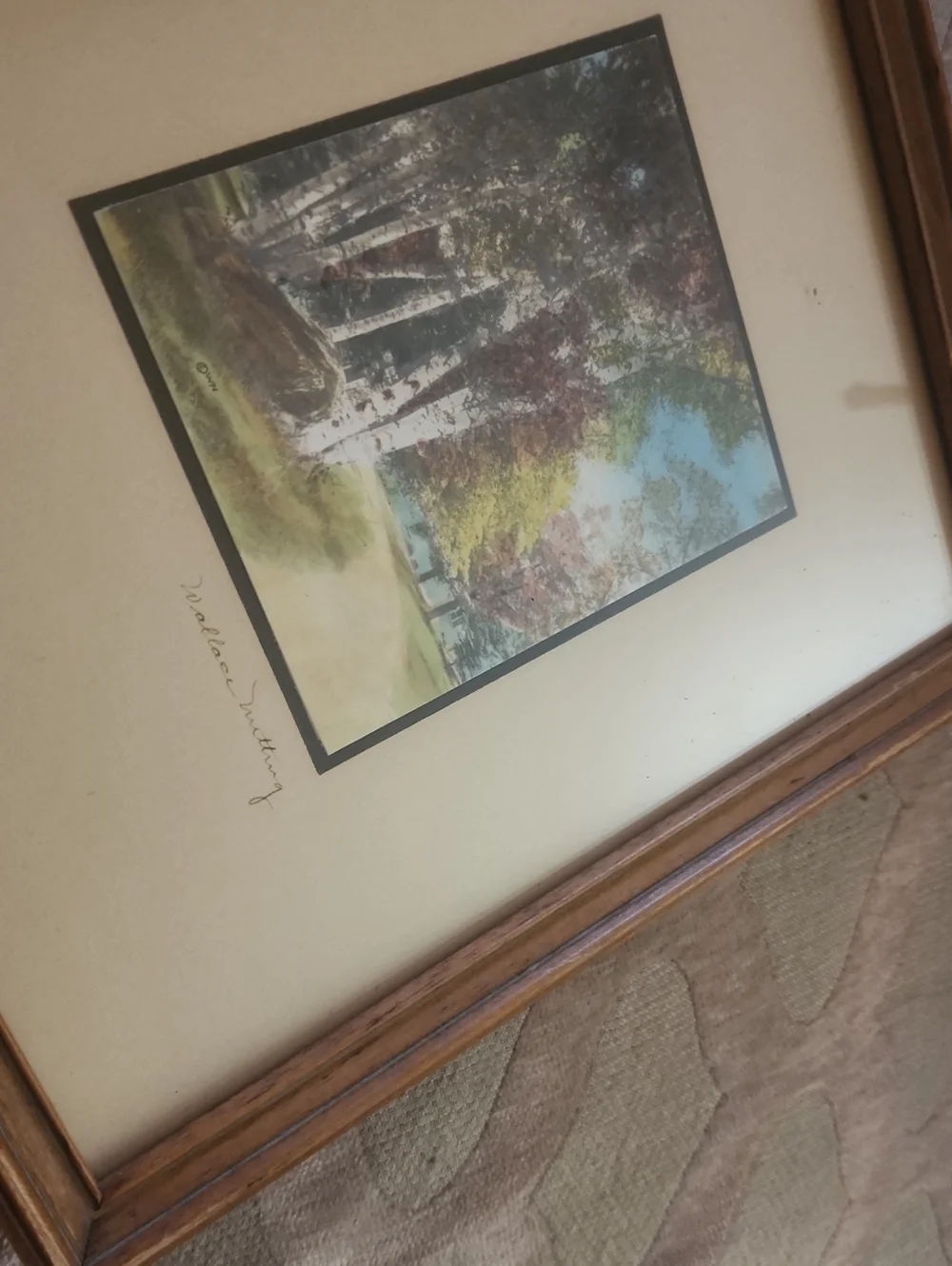 Wallace Nutting Signed, Framed Birch Tree Colorized Photo in Antique Wood Frame